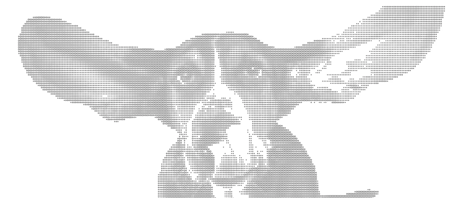 The dog portrait at a fine resolution, ears and eyes clear