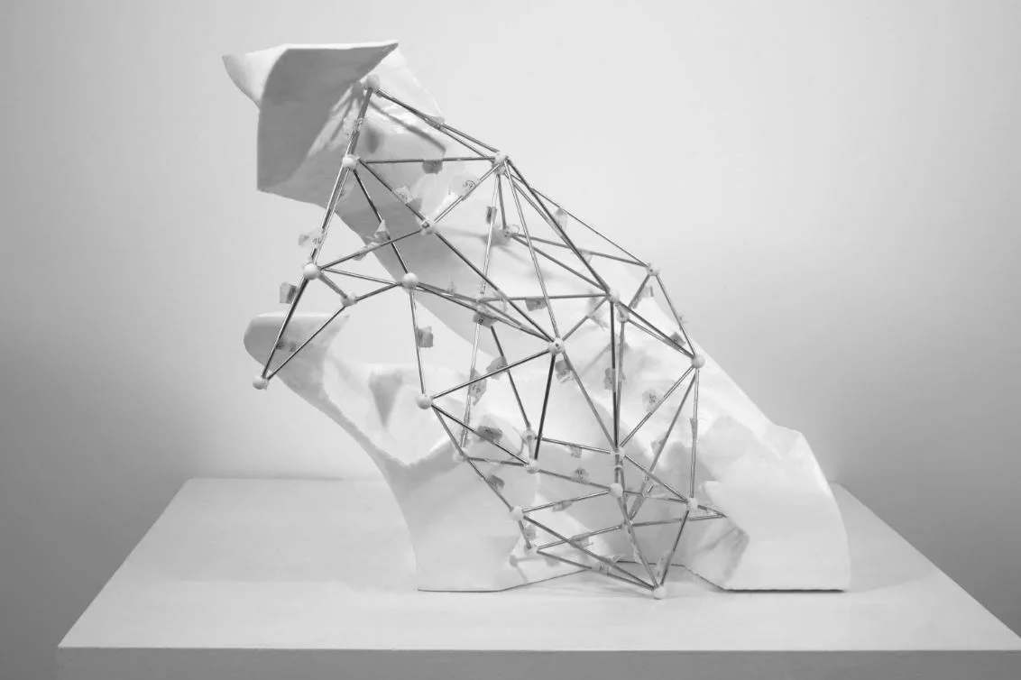 A dense wireframe lattice model leaning against a curved white surface