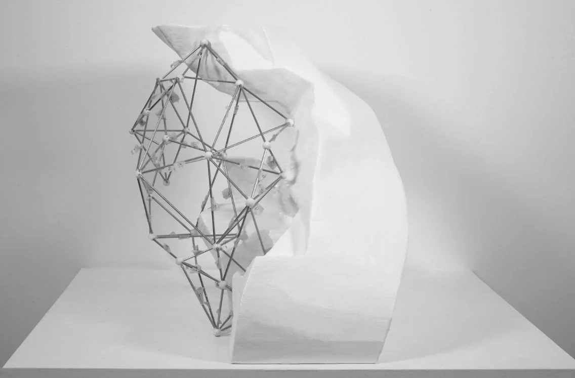 The lattice model seen from the front, filling the opening of the white shell