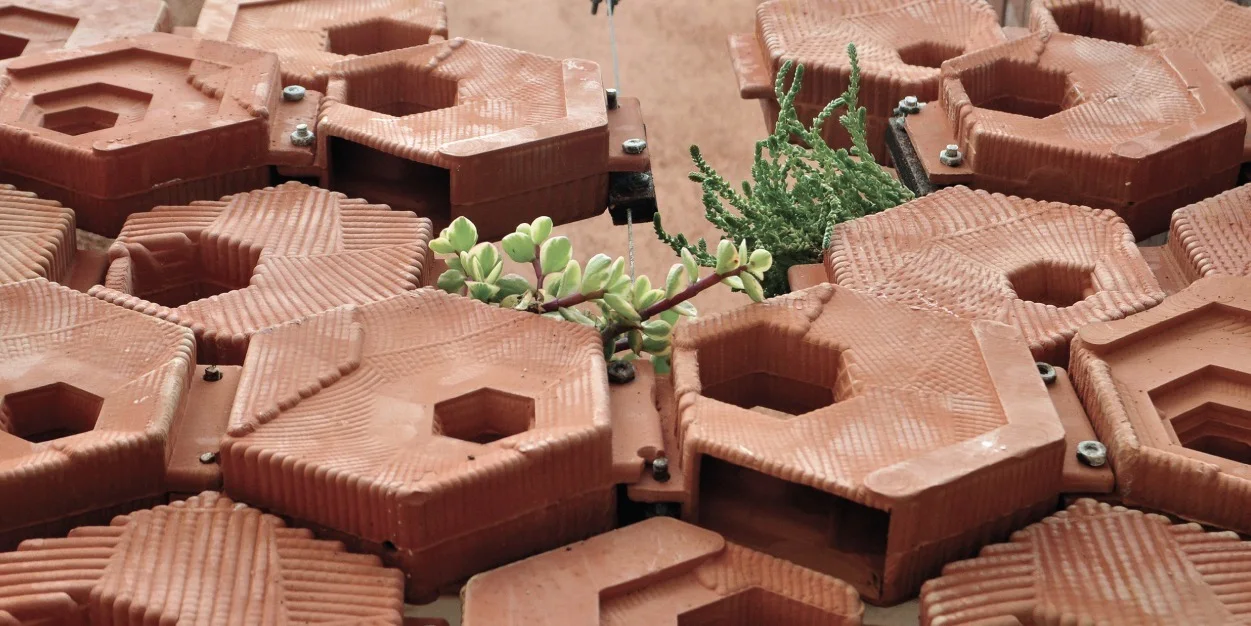 A cluster of fired hexagonal modules with ribbed surfaces, a plant growing from one