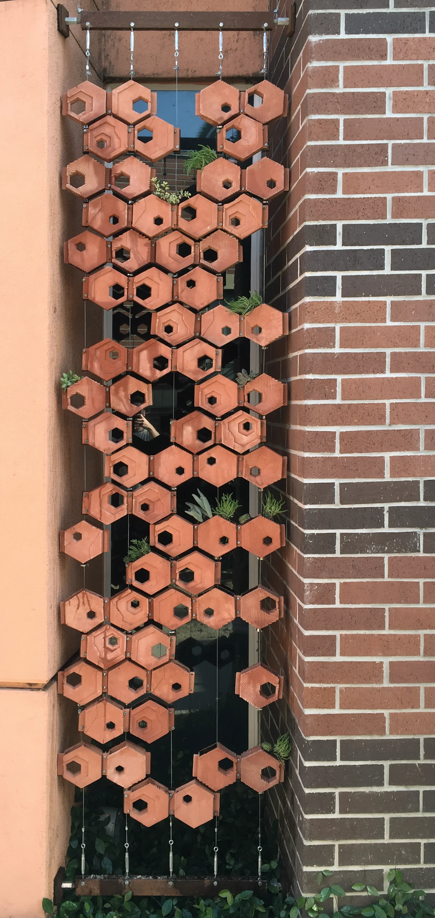 A tall brick wall with a lattice of hexagonal terracotta modules hanging across it, succulents growing from some